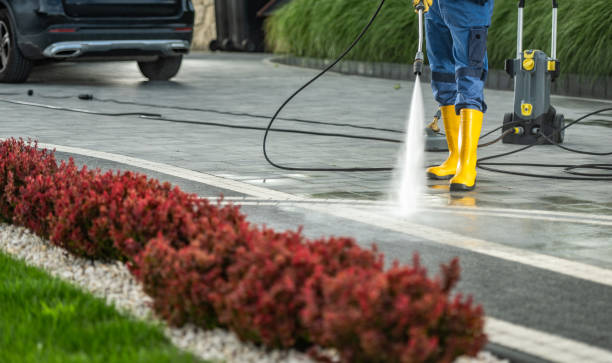 Best Exterior Home Cleaning  in Energy, IL