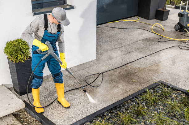 Best Roof Power Washing Services  in Energy, IL